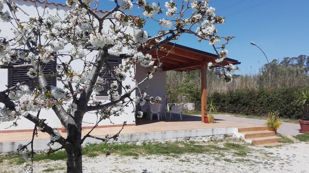B&B Arcafelice Termoli Exteriör bild